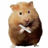 Avatar de l’utilisateur