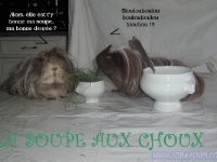 05-soupe_choux