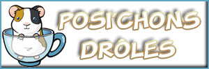 positions-droles_2009.jpg